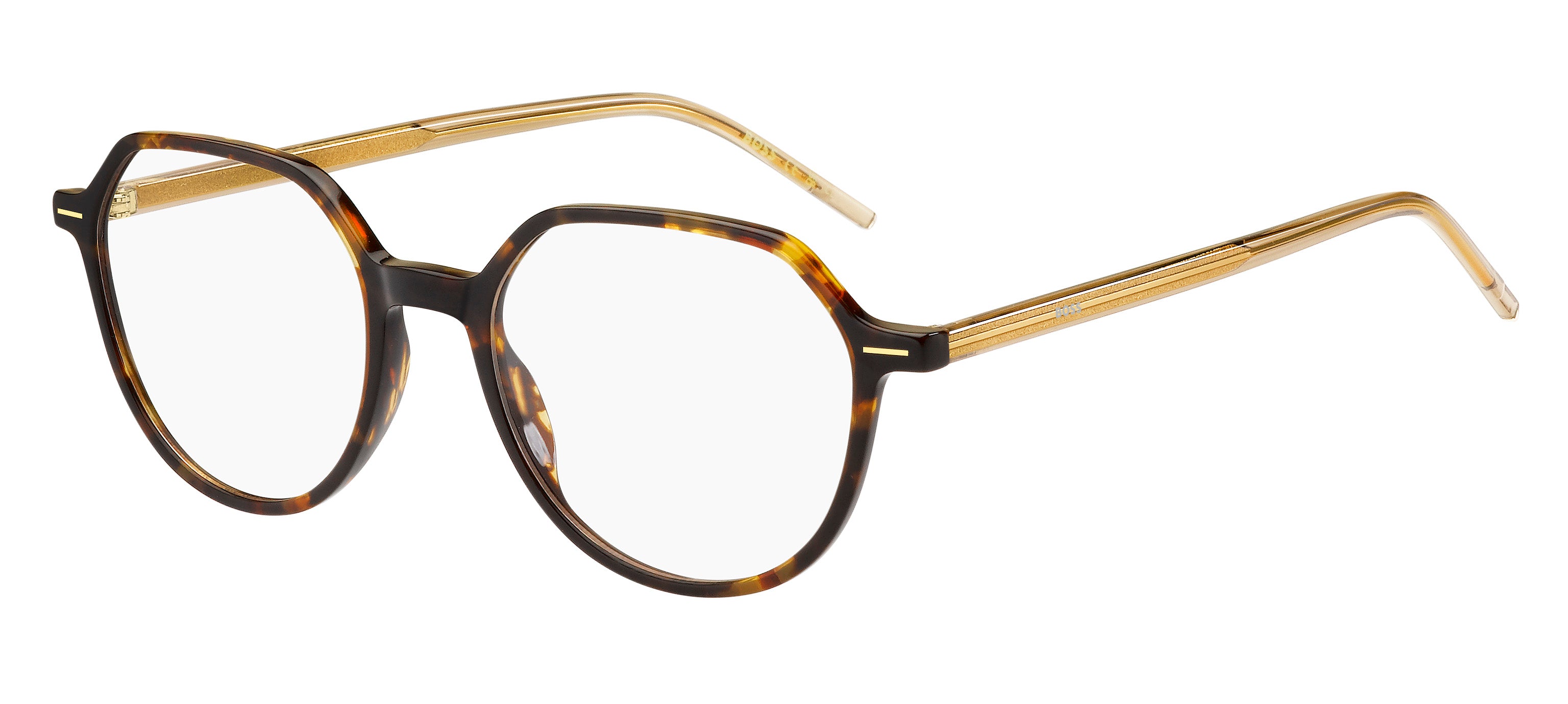 Hugo Boss Eyewear Model 1586 HJV 50