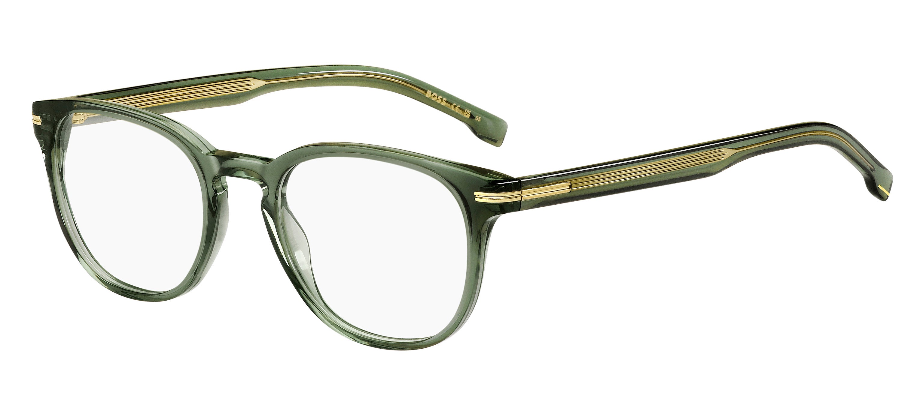 Hugo Boss Eyewear Model 1601 1ED 51