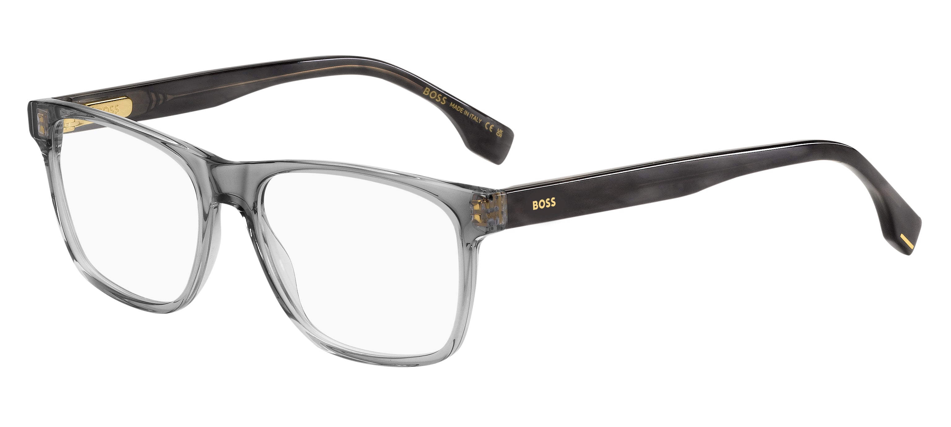 Hugo Boss Eyewear Model 1646 2W8 55