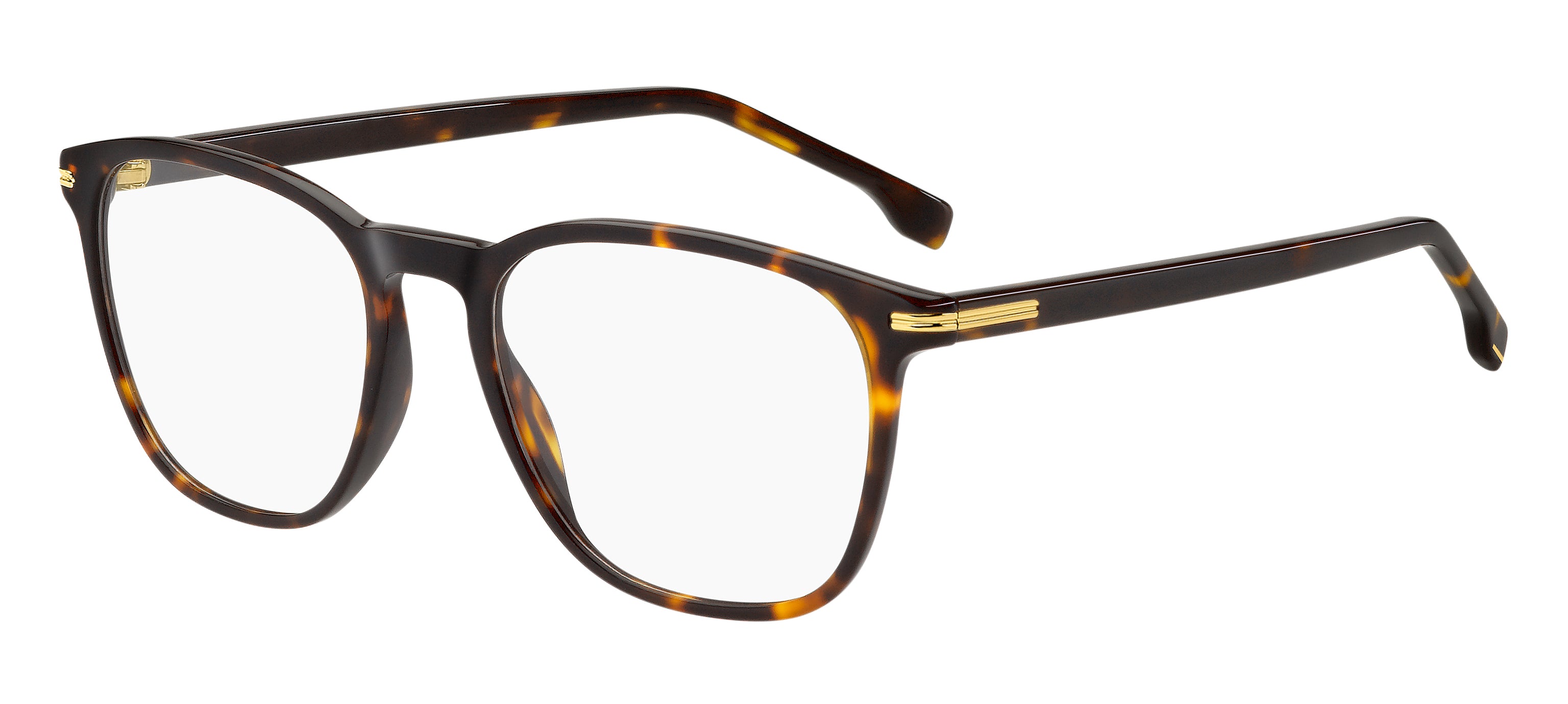 Hugo Boss Eyewear Model 1680 086 50