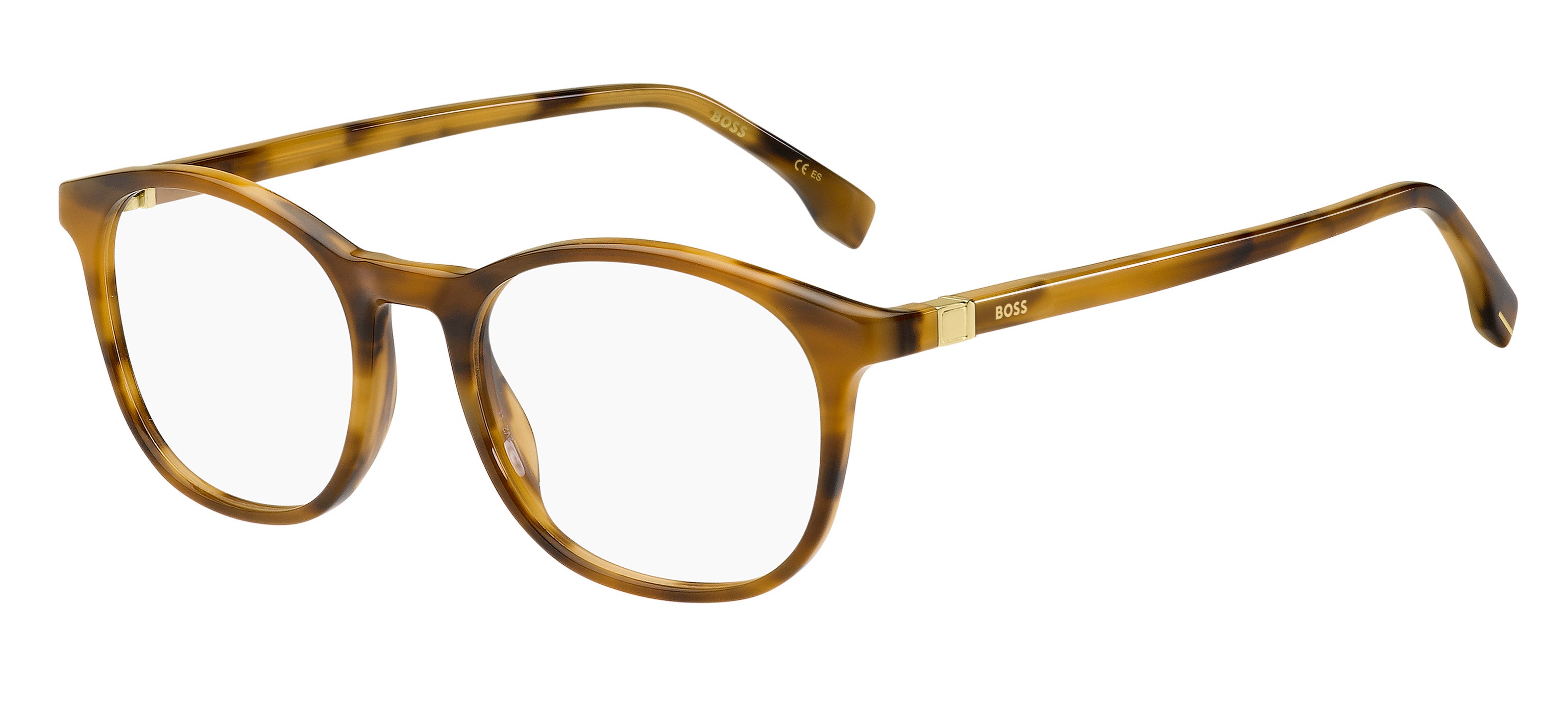 Hugo Boss Eyewear Model 1437 T5U 53