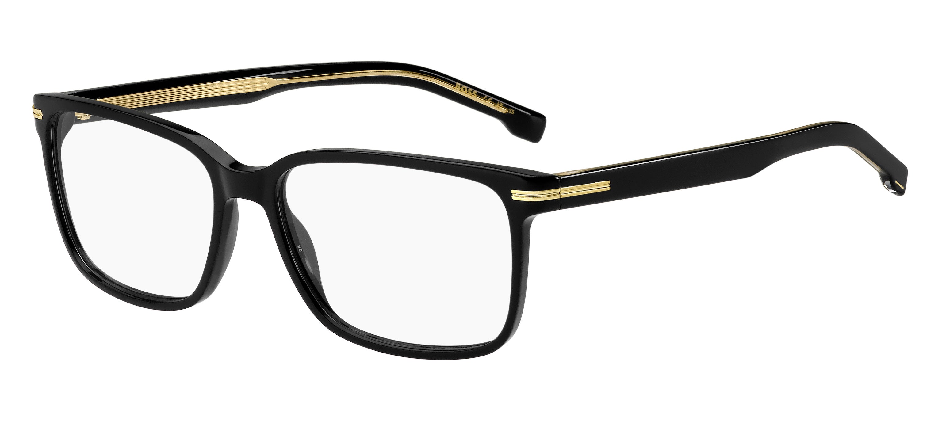Hugo Boss Eyewear Model 1511 807 55
