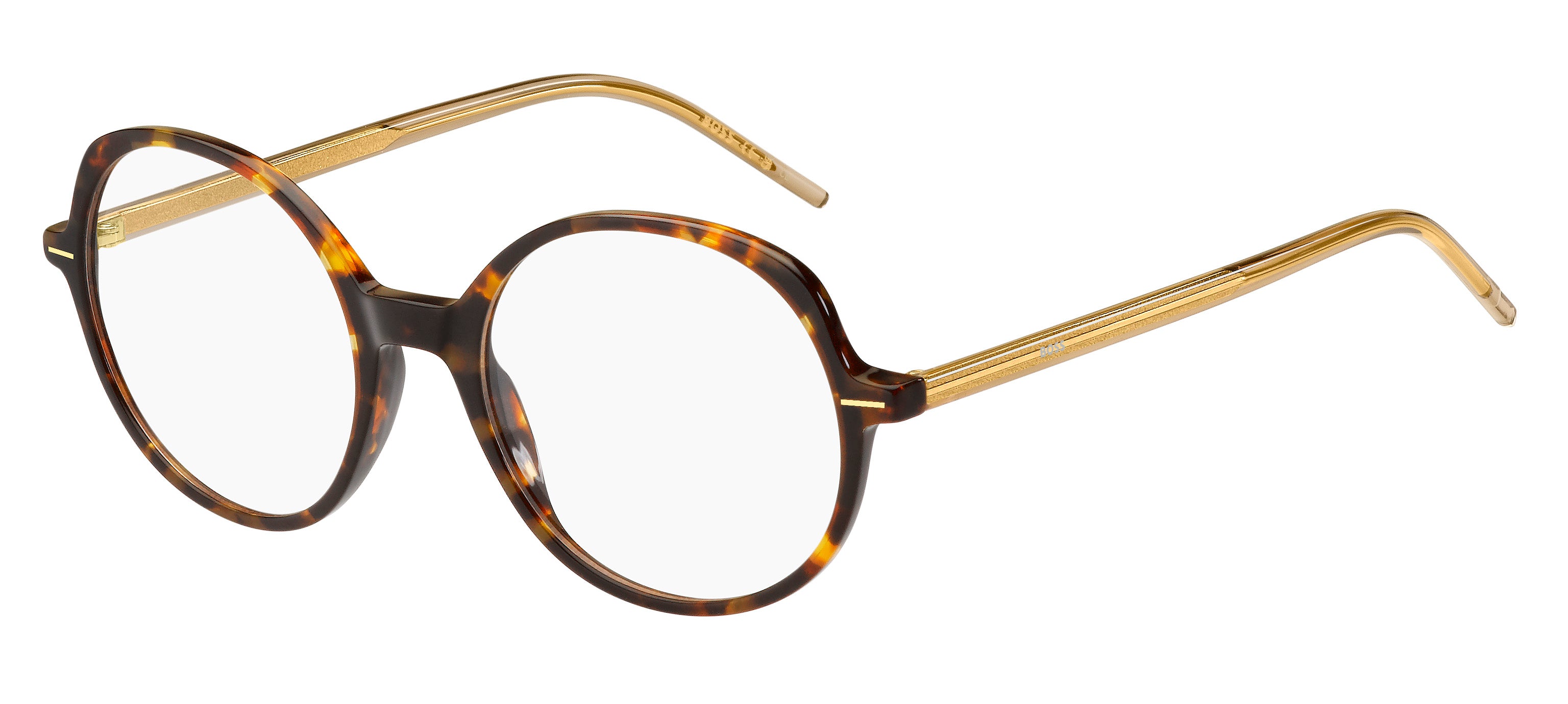 Hugo Boss Eyewear Model 1588 HJV 51