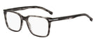 Hugo Boss Eyewear Model 1602 2W8 55