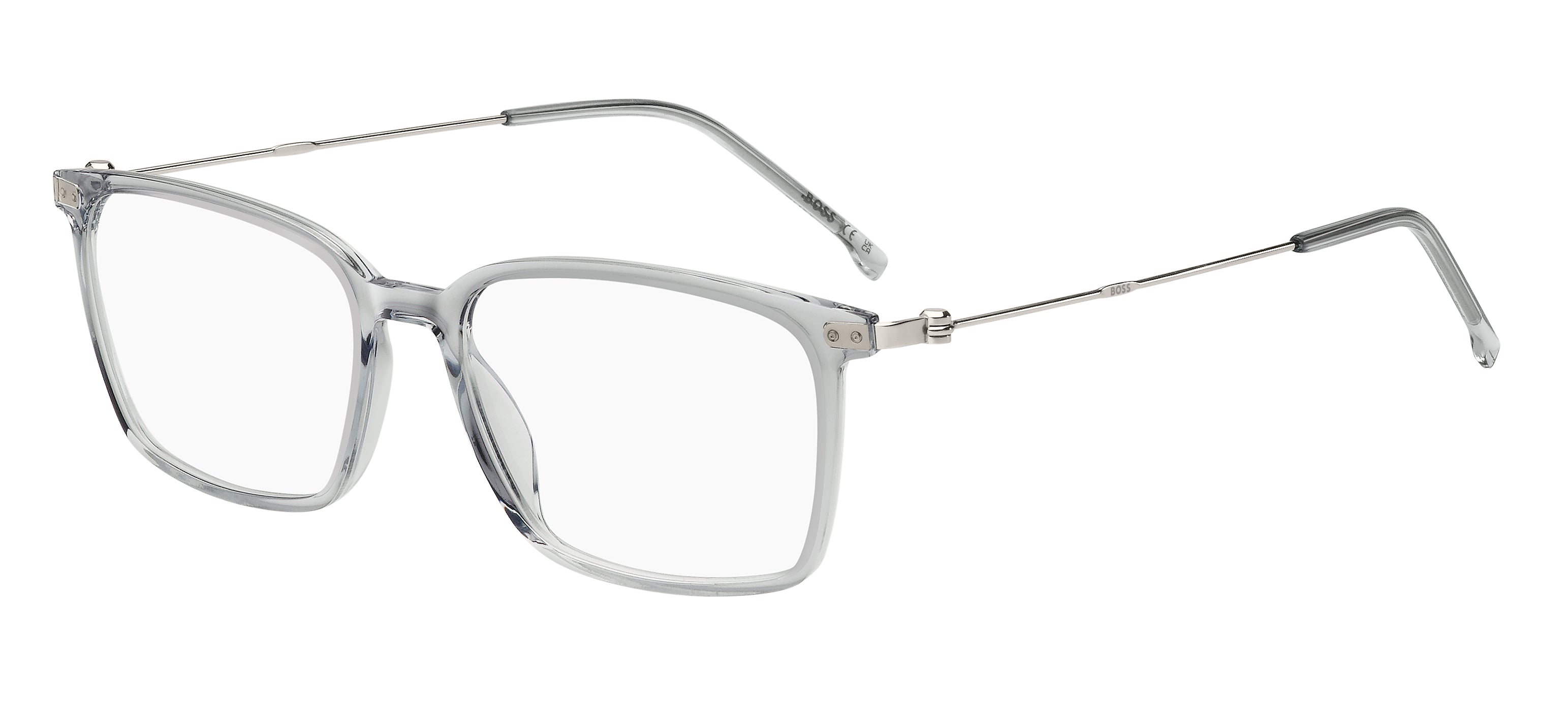 Hugo Boss Eyewear Model 1704 FX8 55
