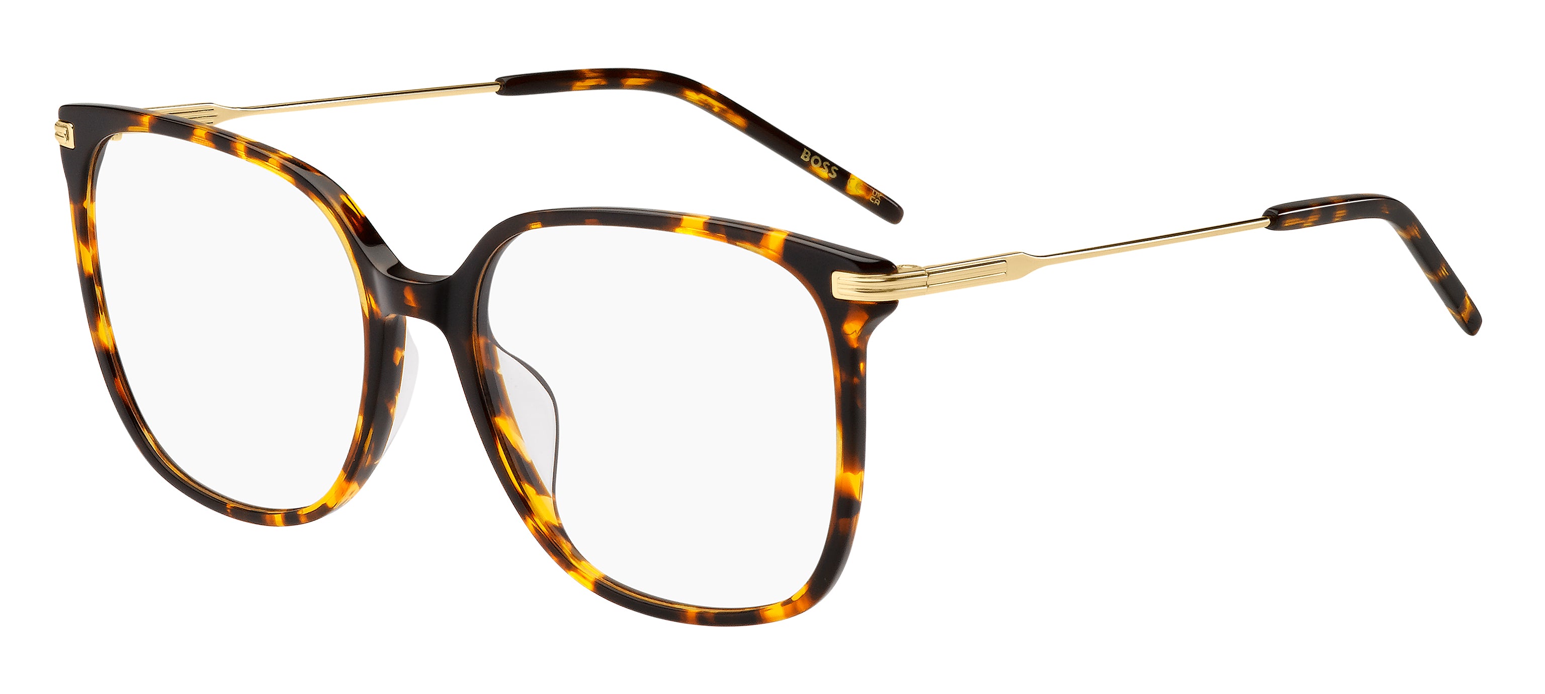 Hugo Boss Eyewear Model 1736/G LVL 55