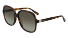 LONGCHAMP Sunglasses Model LO668S HAVANA