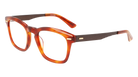 LACOSTE Eyewear L2604ND 53 GOLD HAVANA